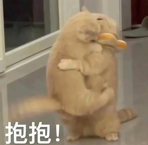 恋爱专用表情包 恋爱专用表情包