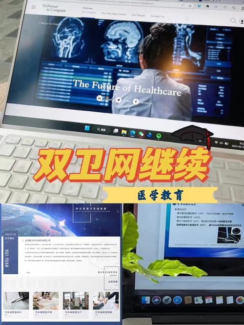 双卫网下载
