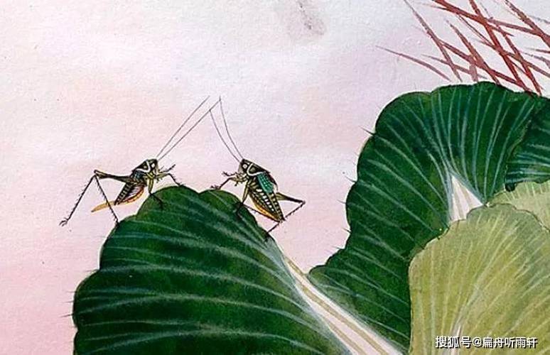蛐蛐为什么会跑到我床上