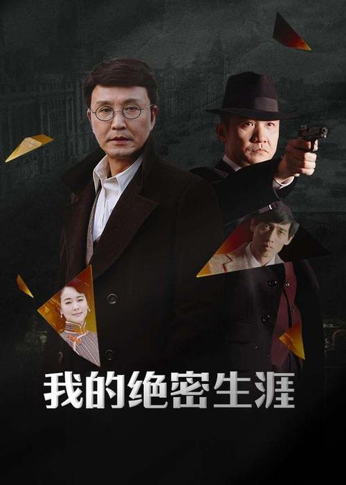 我的绝密生涯剧情介绍
