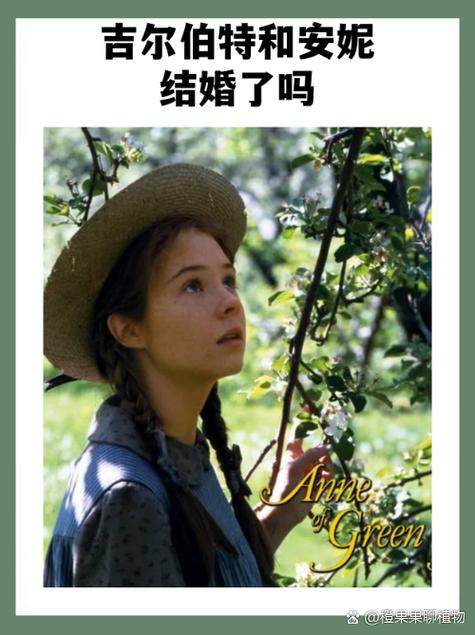 吉尔伯特和安妮的关系