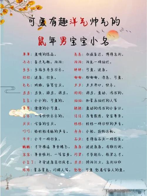 鼠年宝宝小名洋气