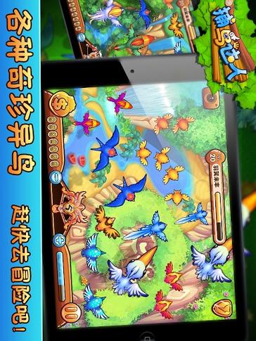 捕鸟达人能赚钱提现金