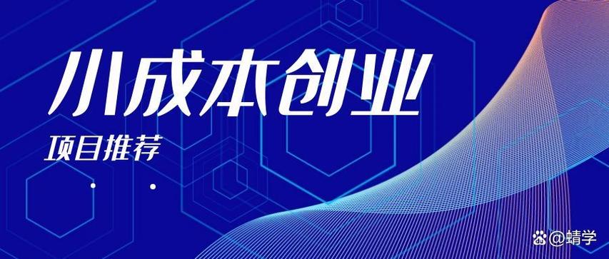 创业小项目