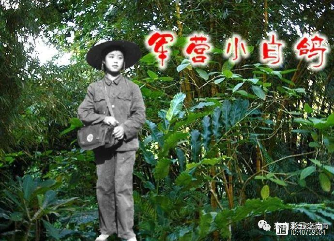 我的部队生活回忆录