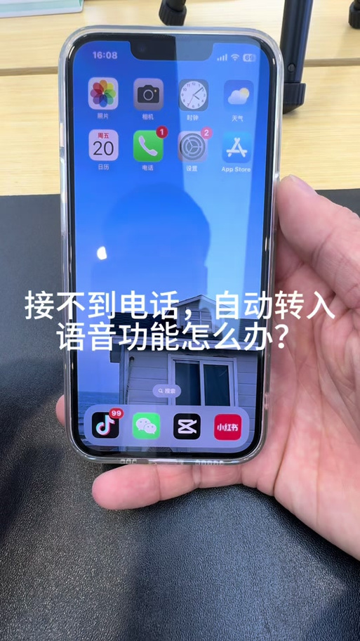 苹果有语音接听电话吗
