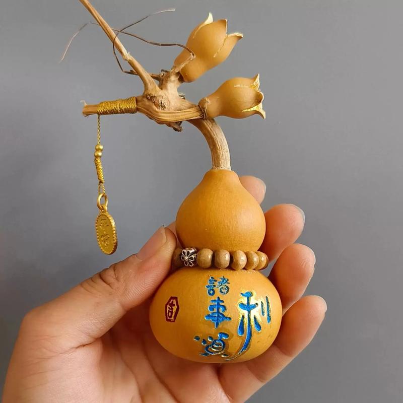葫芦做手工大全图片