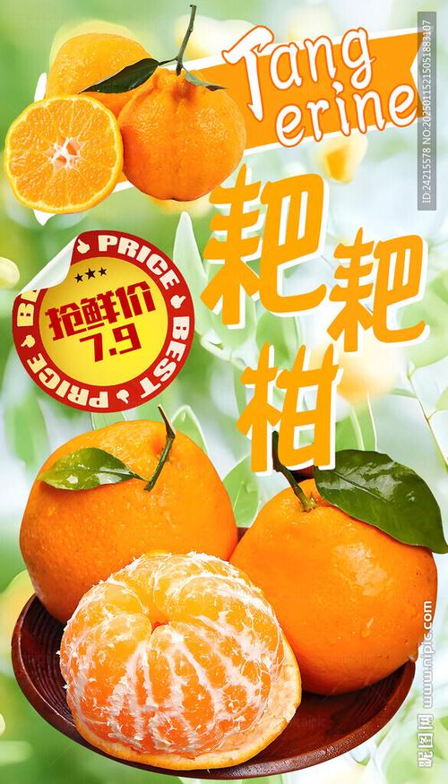 橘子创意广告语