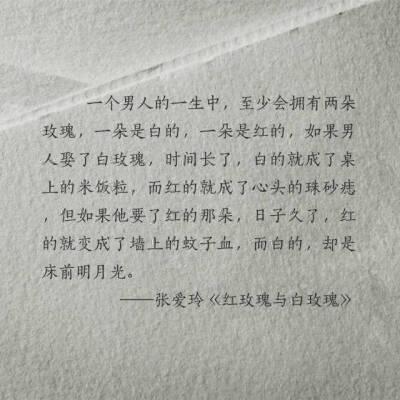 红玫瑰和白玫瑰的故事