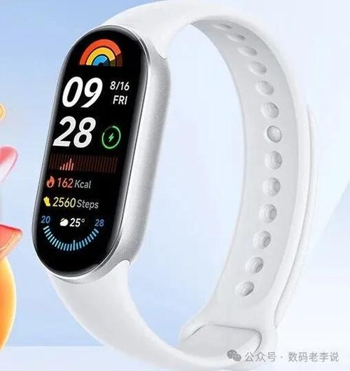 小米性价比最高的手环