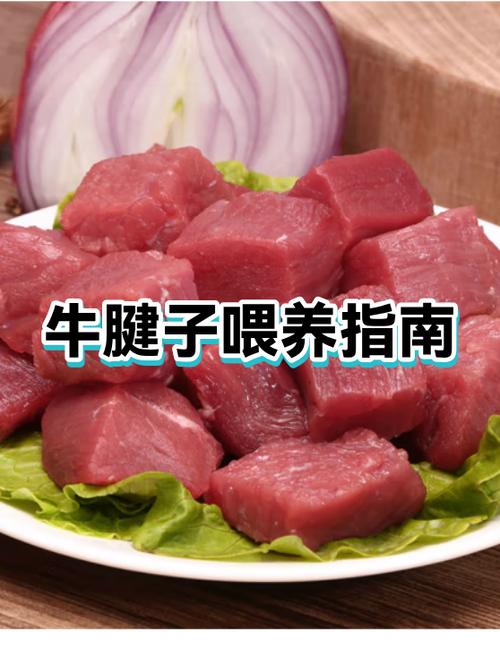 我的世界牛吃啥
