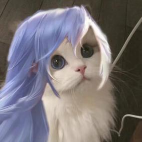 王者荣耀同人猫咪截图2