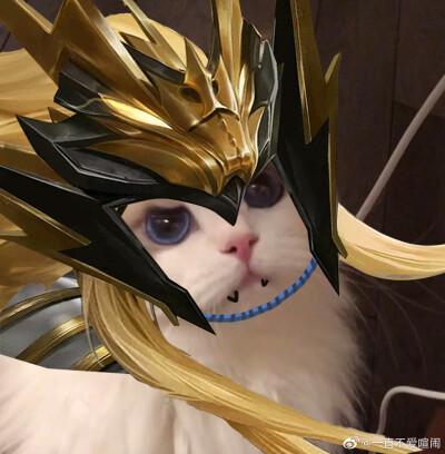 王者荣耀同人猫咪截图3