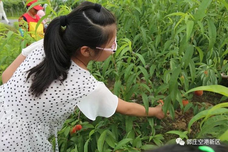 桃子移植儿童乐园