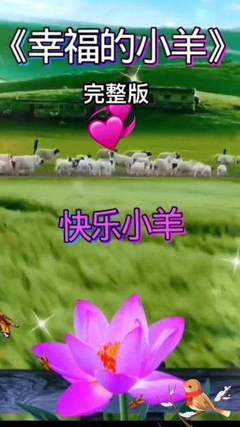 我们是一群幸福的小羊