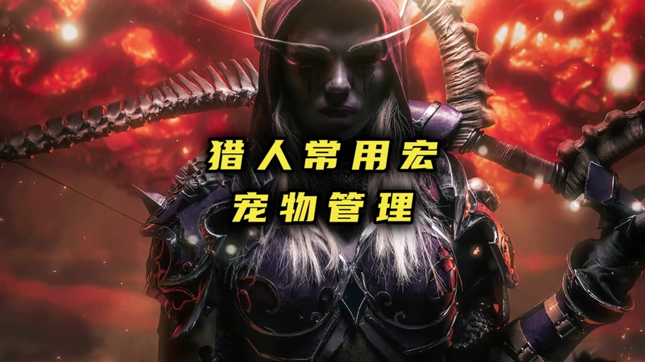 宠物忠诚度怎么升到6级