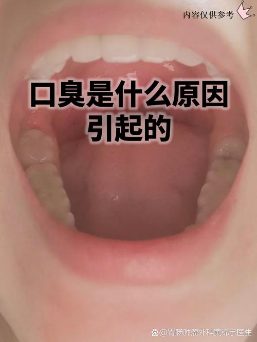 三角洲惊变500天一口气看