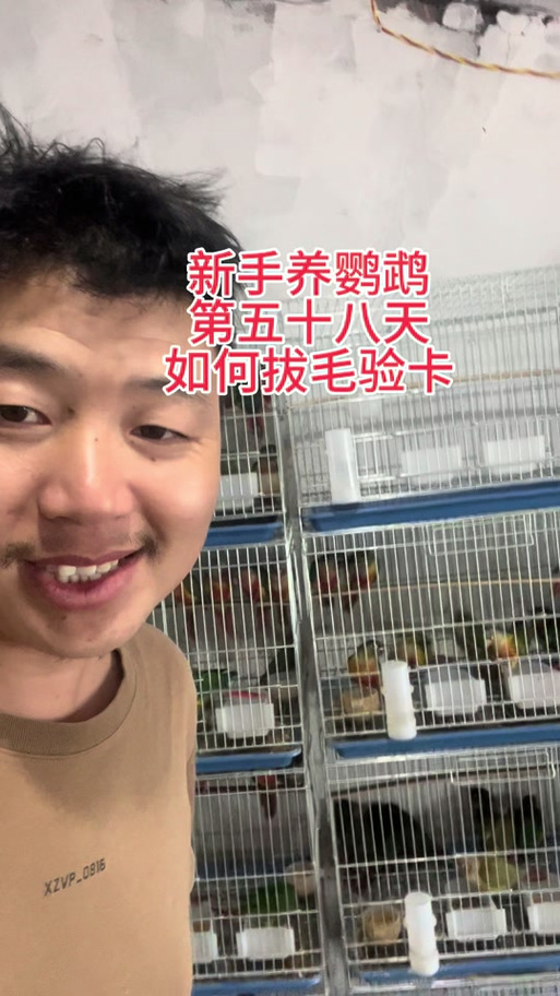 鹦鹉验卡可以自己验吗