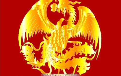 金凤凰平台干什么的啊