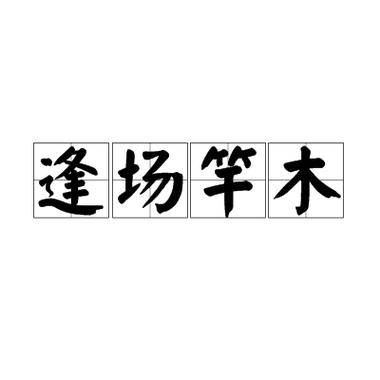 五灯会元比喻什么人