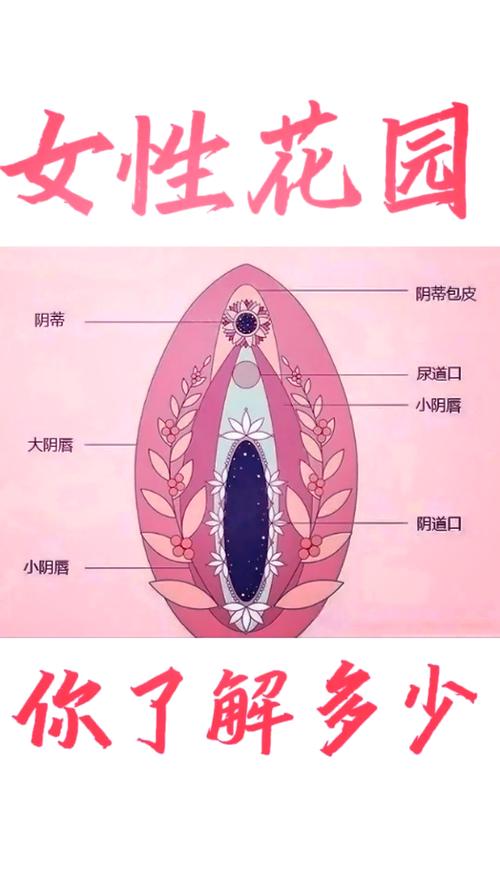 阴厕婢指的是什么 阴厕婢指的是什么