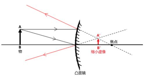 凸面镜会把人放大还是缩小