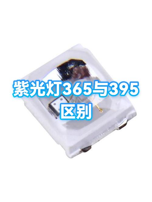 紫光灯365和395哪个好