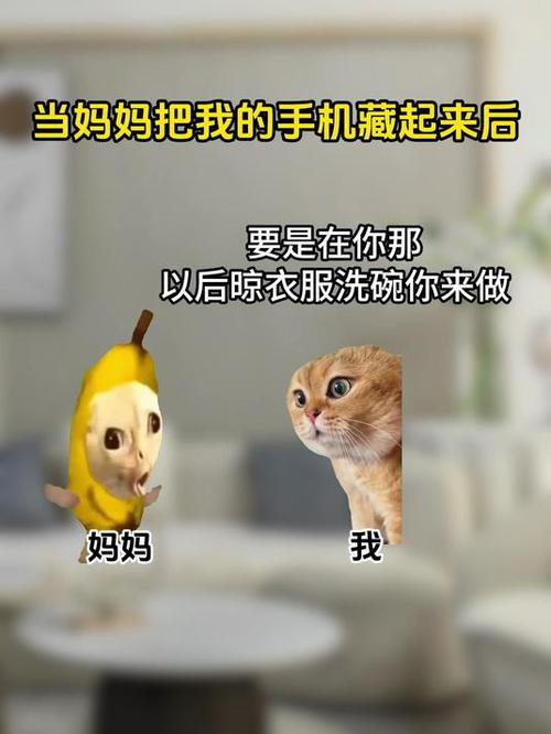 家长手机藏起来最爱藏在哪里截图2