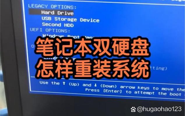 两个硬盘都装有系统可以一起用吗