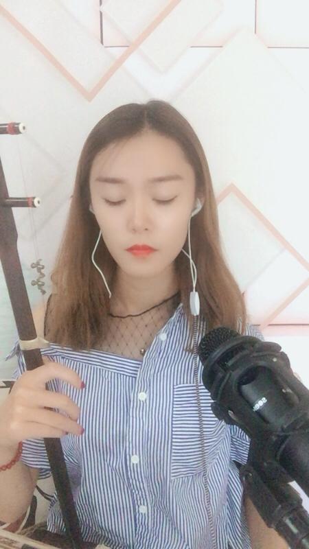 最炫民族风二胡