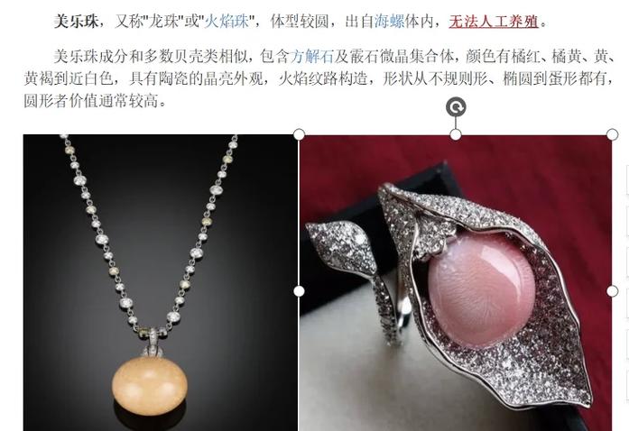 珍珠神龙珠价格