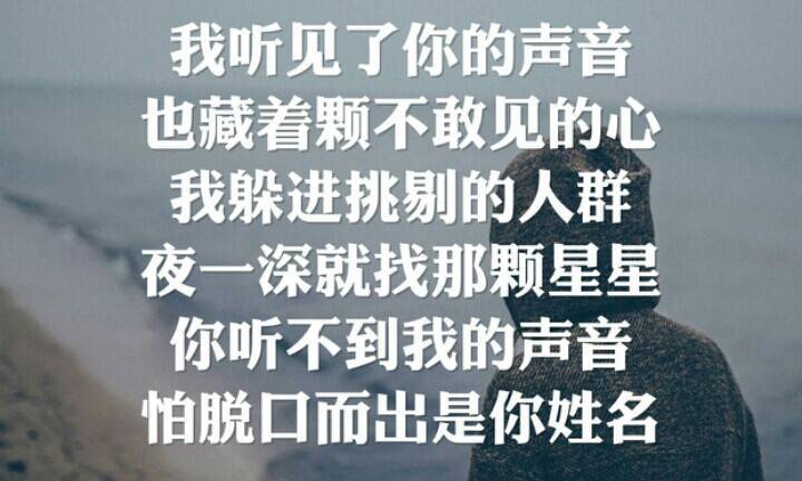 我听不到你的声音是什么歌曲截图2