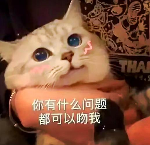 谈恋爱很甜的表情包