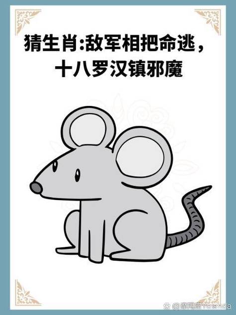 鼠的敌人生肖