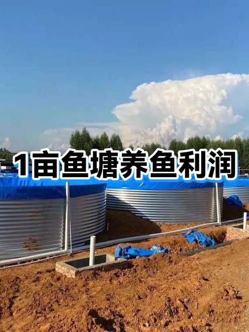 承包鱼塘赚钱吗