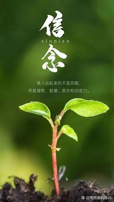 心田最佳配句
