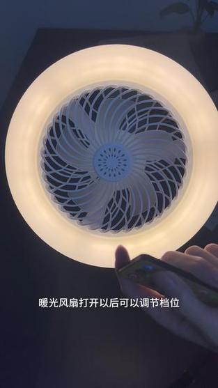 风扇灯都是遥控的吗