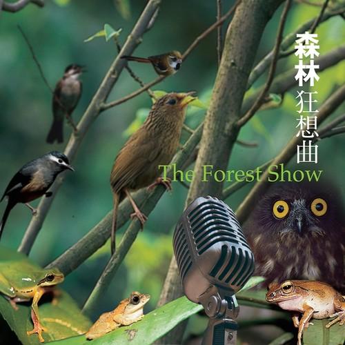 森林狂想曲下载mp3