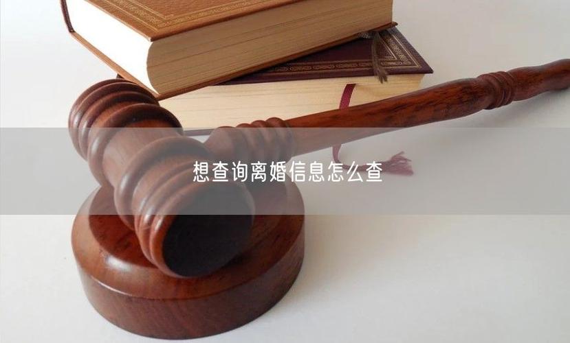 个人离婚信息查询