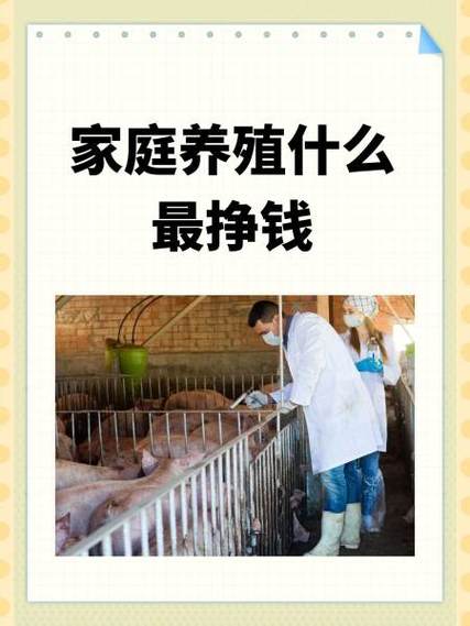 家庭繁殖什么最挣钱 家庭繁殖什么最挣钱