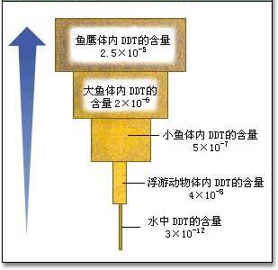 生物富集和生物能量的区别
