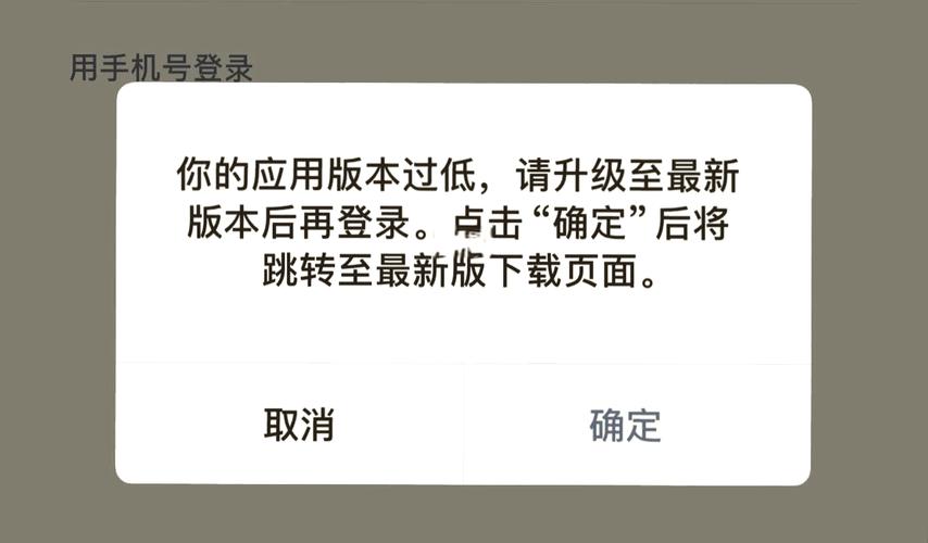 显示版本过低怎么办截图3