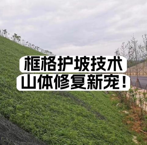 oppo手机一直有个绿色框框