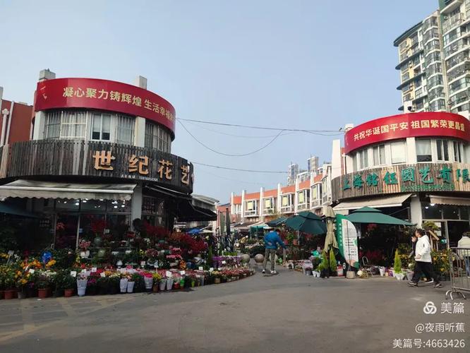 附近花鸟市场