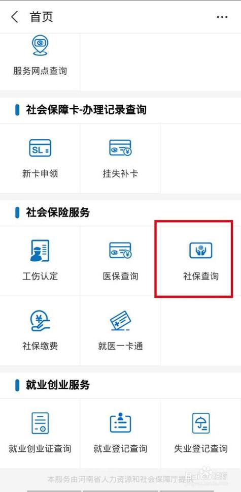 12333查询个人账户