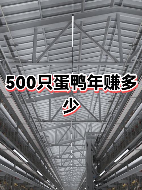 养鸭一只能赚多少钱