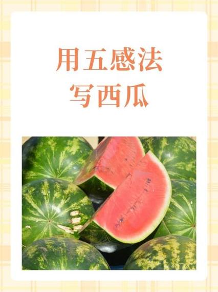 西瓜作文三年级300字
