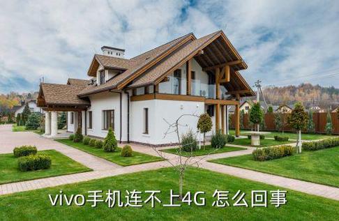为什么手机vivo突然不出现4g