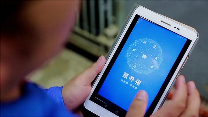 慧养猪app下载