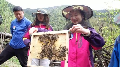 蜂蜜旅行如何交易截图3